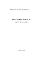 Maktabgacha ta'lim pedagogikasi