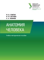 Анатомия человека : учебно-методическое пособие