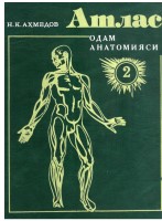 Атлас Ахмедов 2
