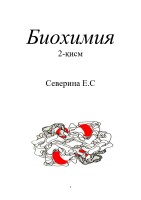 Severen BIOXIMIYA 2-qism