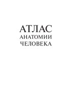атлас Синельников 3 том